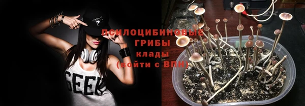 2c-b Михайлов
