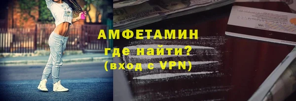 индика Мегион