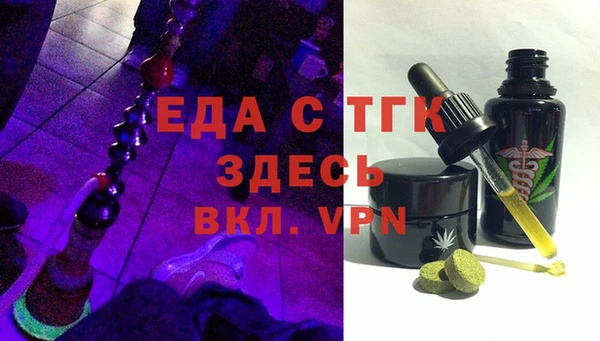 индика Мегион