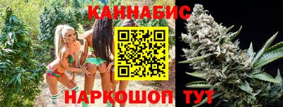 индика Комсомольск-на-Амуре