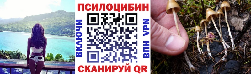 Галлюциногенные грибы прущие грибы  Сыктывкар 