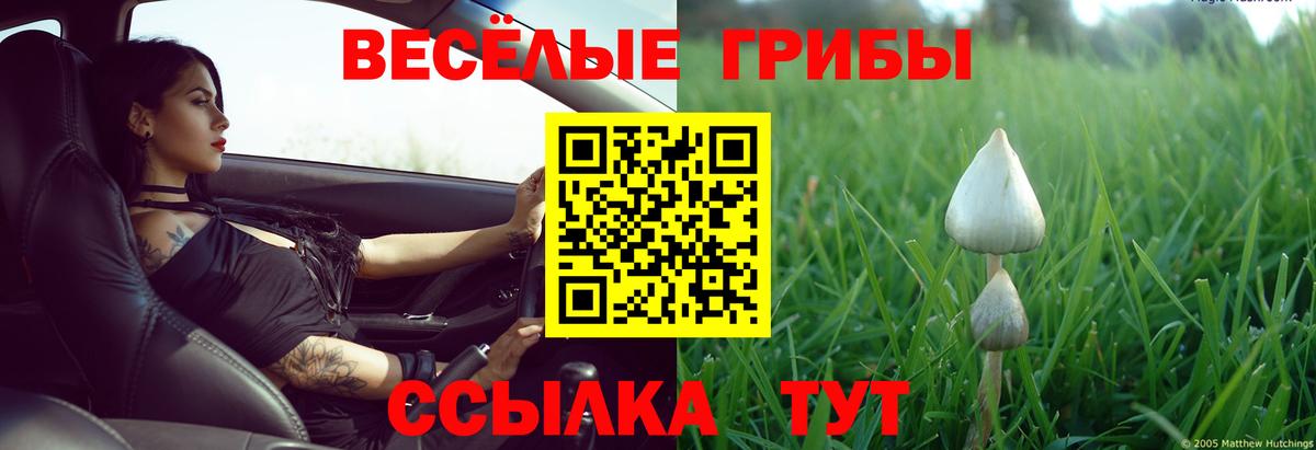 Галлюциногенные грибы MAGIC MUSHROOMS  Псилоцибиновые грибы Psilocybine cubensis  закладка  Сыктывкар  Вход с VPN 